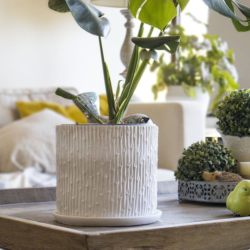 Macetero Canelo - tiendachagual