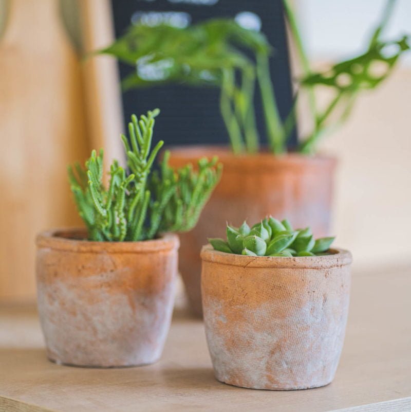 Macetero Lleuque - tiendachagual