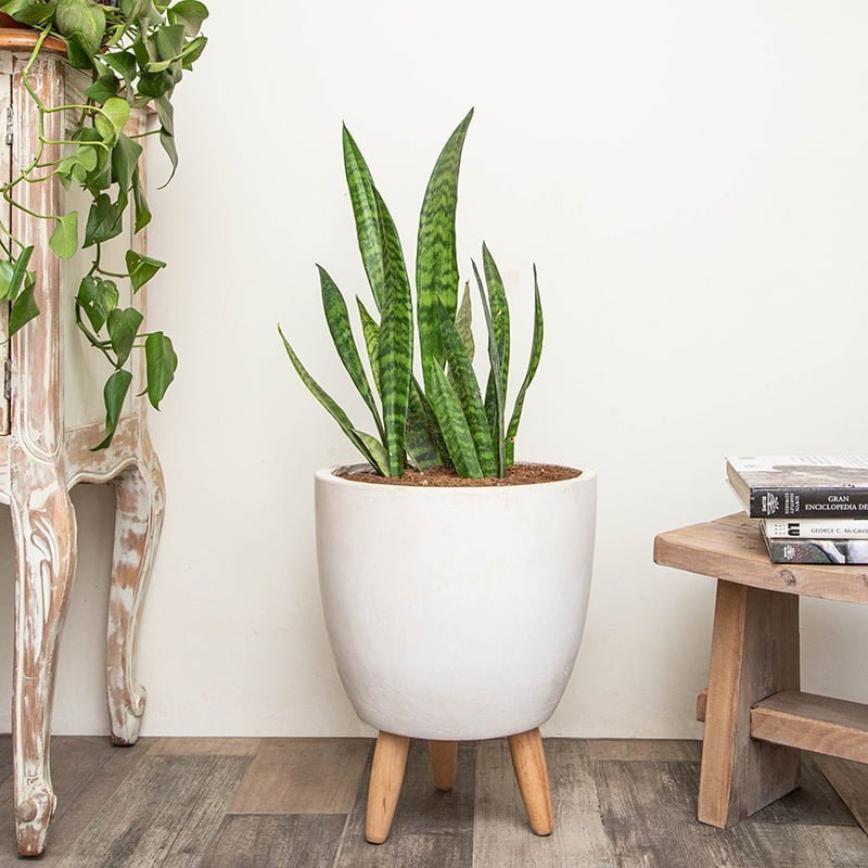 Macetero Michai blanco - tiendachagual