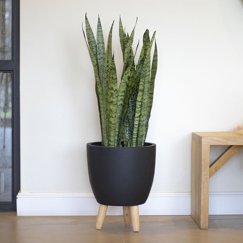 Macetero Michai negro - tiendachagual