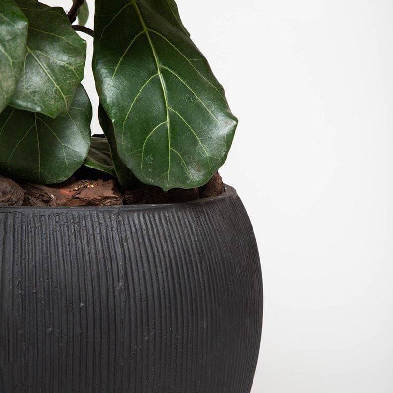 Macetero Petra - tiendachagual