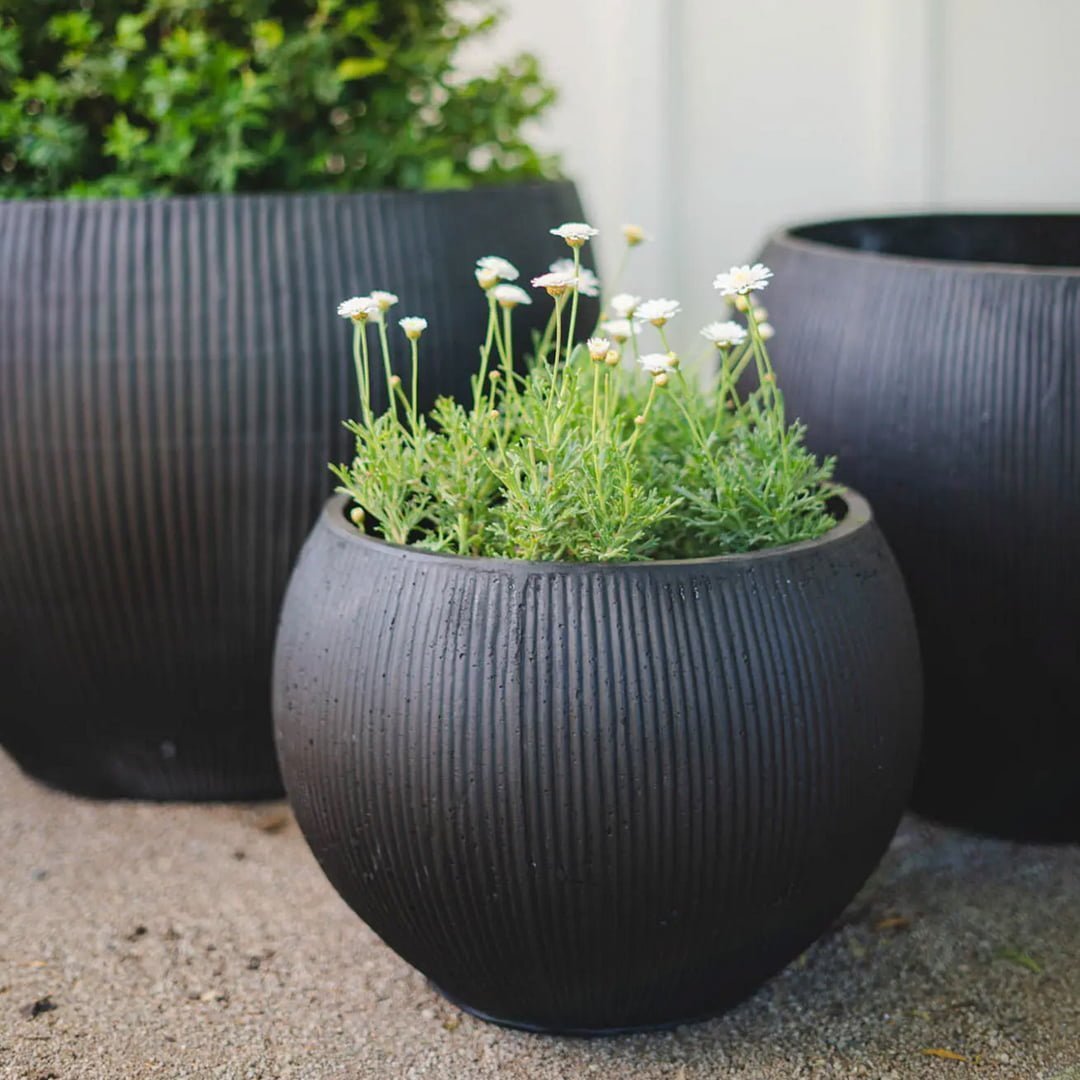 Macetero Petra - tiendachagual