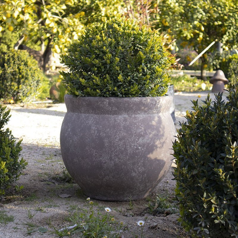 Macetero Peumo - tiendachagual