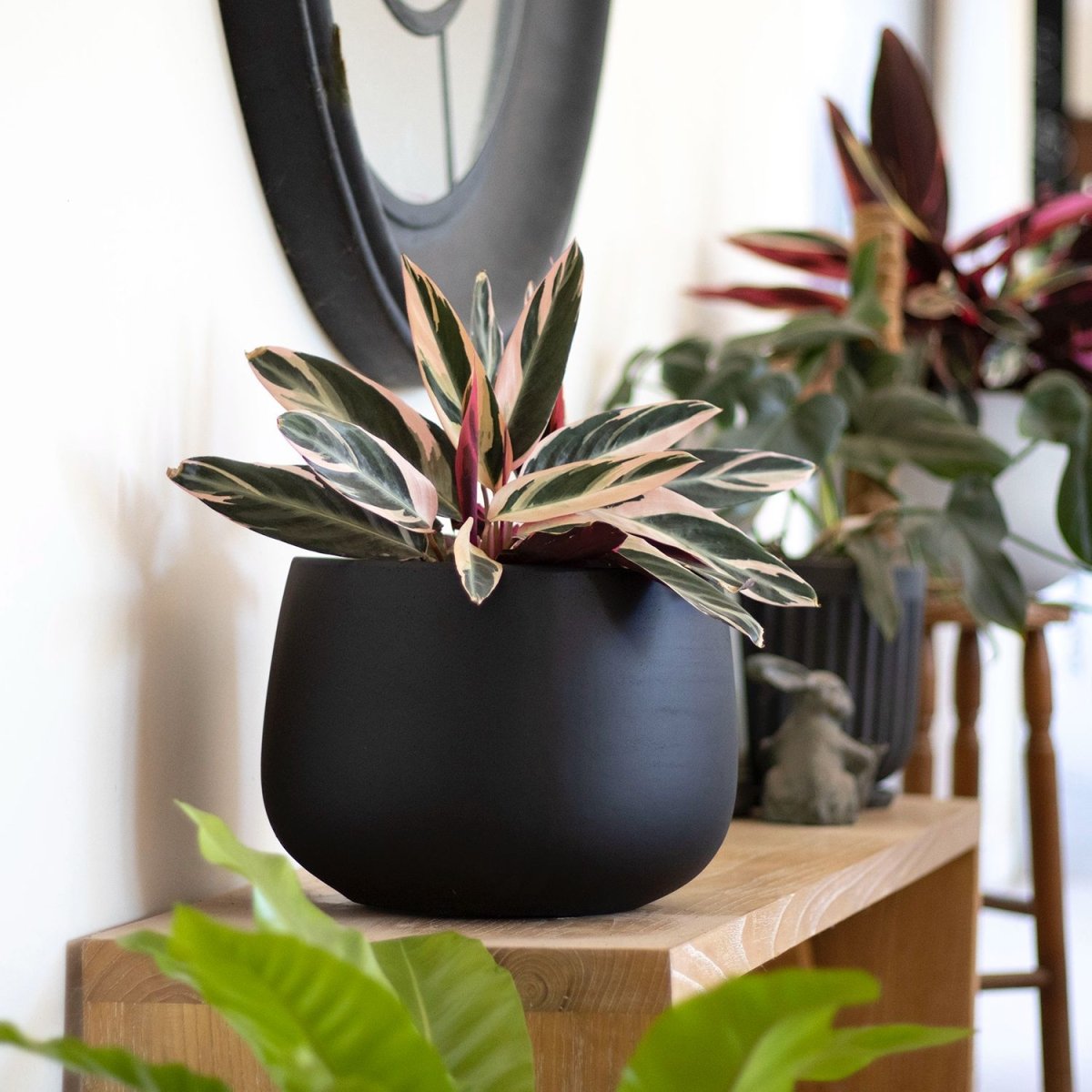 Macetero Tepa negro - tiendachagual