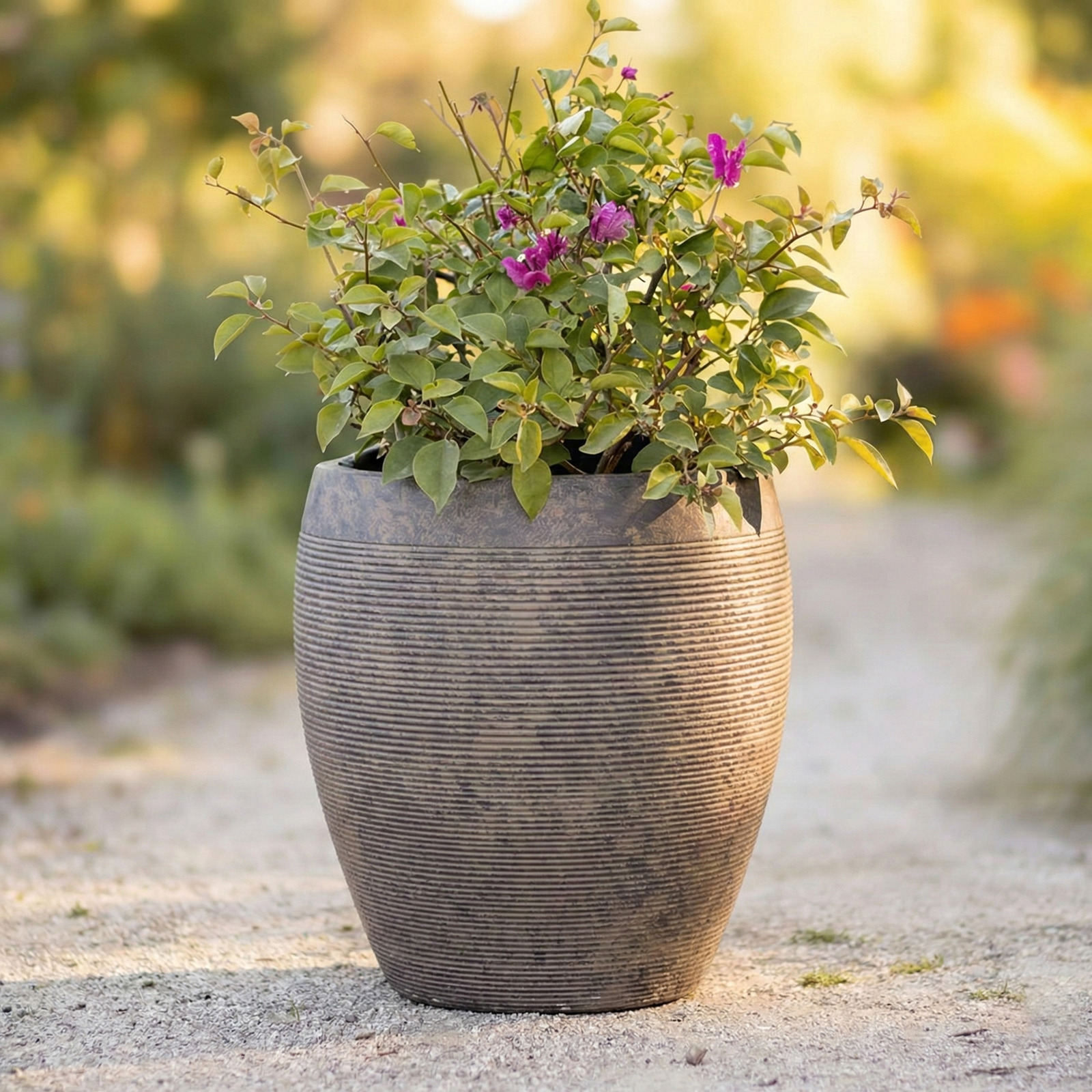 Macetero Arrayán oscuro