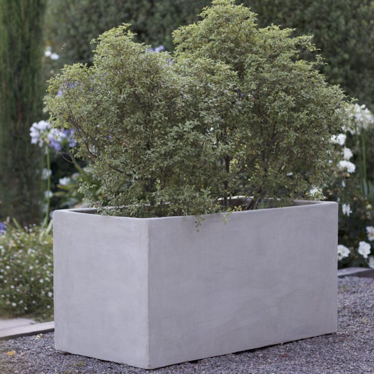 Jardinera Radal - tiendachagual