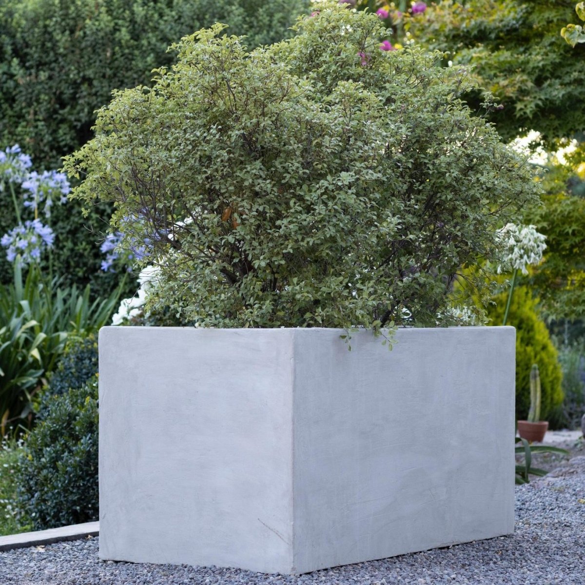 Jardinera Radal - tiendachagual