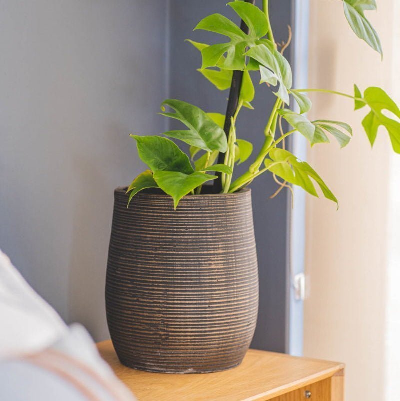 Macetero Amancay Dorado - tiendachagual