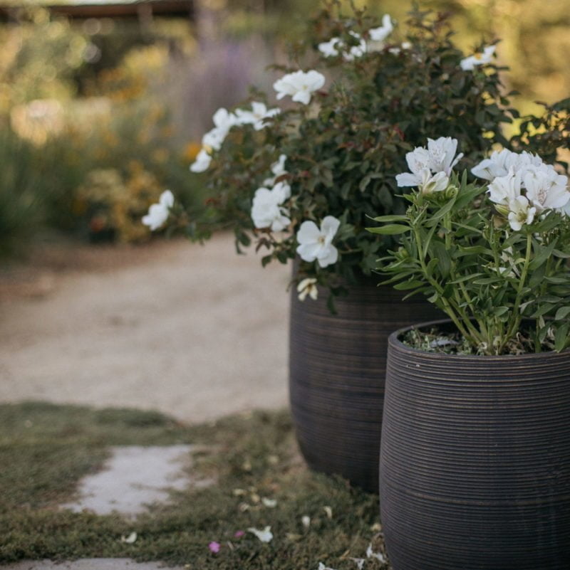 Macetero Amancay Dorado - tiendachagual