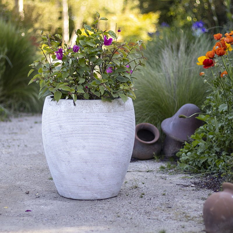 Macetero Arrayán claro - tiendachagual