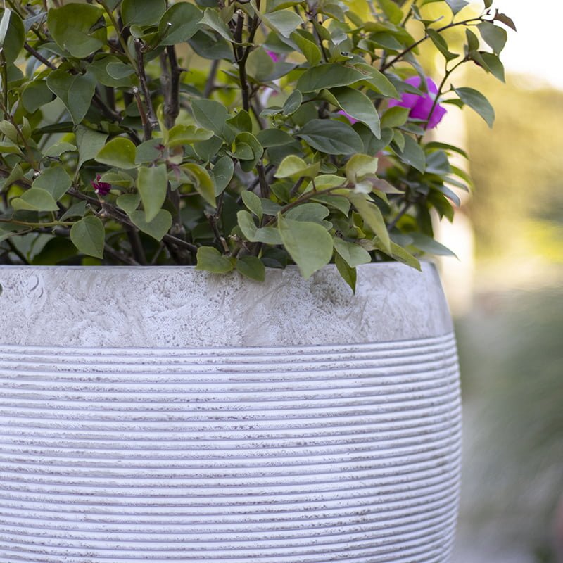 Macetero Arrayán claro - tiendachagual