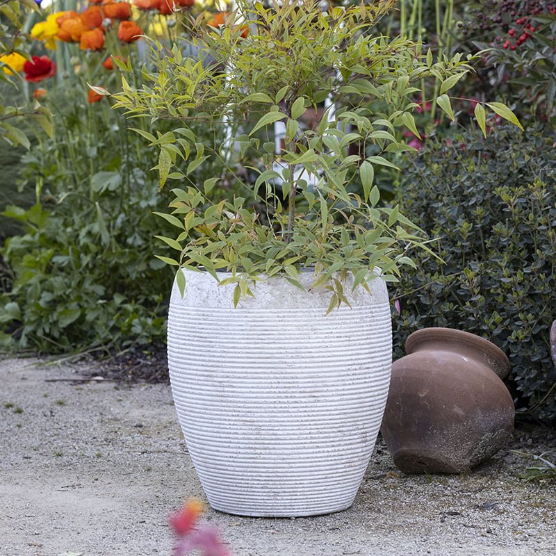 Macetero Arrayán claro - tiendachagual