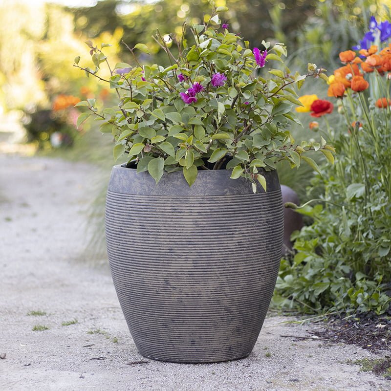 Macetero Arrayán oscuro - tiendachagual