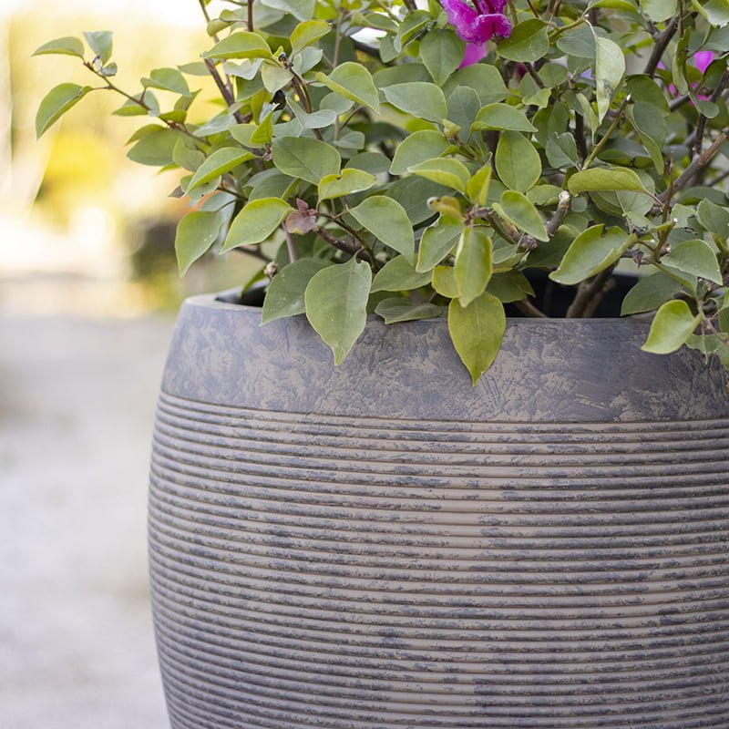 Macetero Arrayán oscuro - tiendachagual