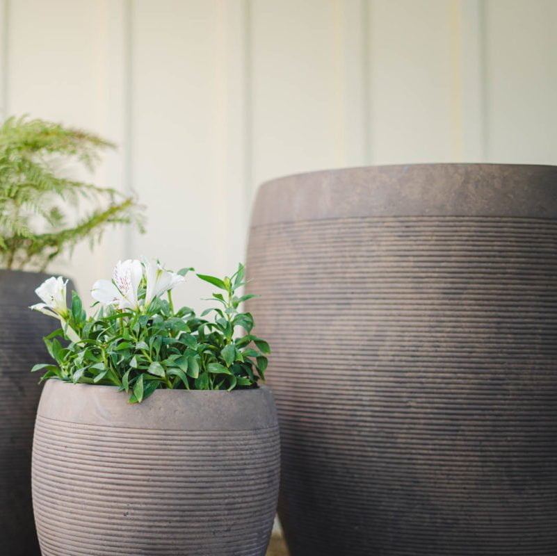 Macetero Arrayán oscuro - tiendachagual