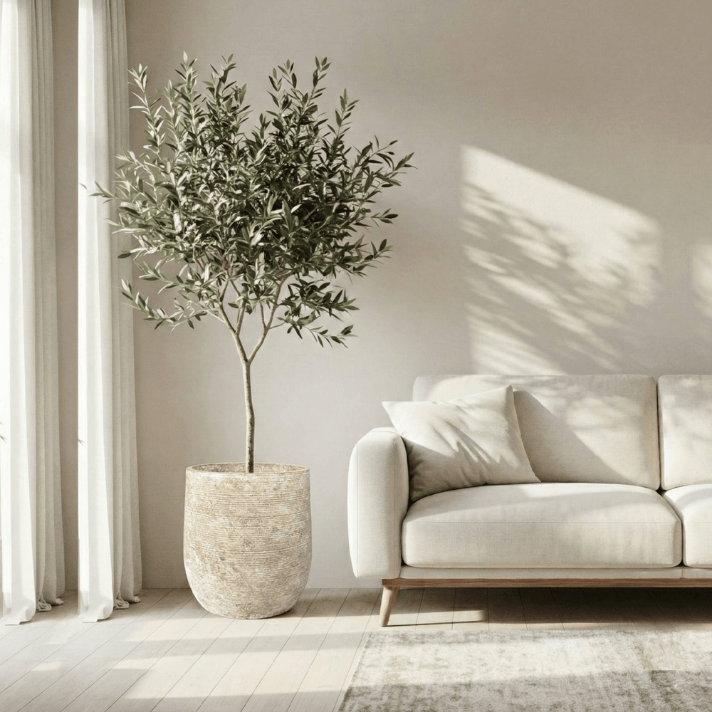 Macetero Avellano - tiendachagual