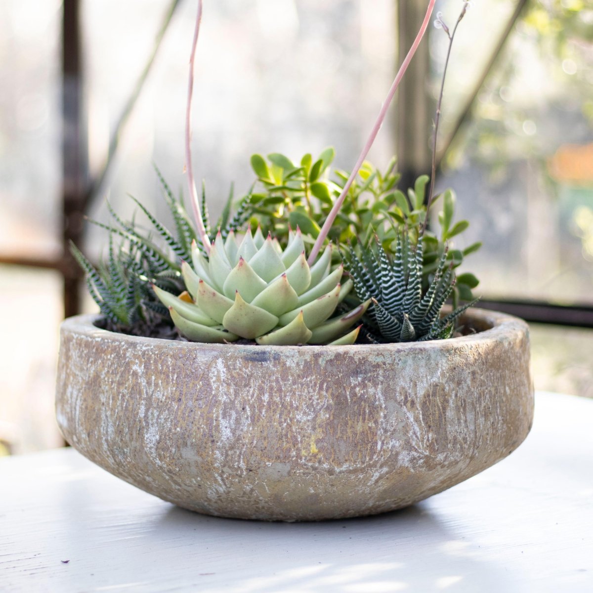 Macetero Bajo Piñol Arena - tiendachagual