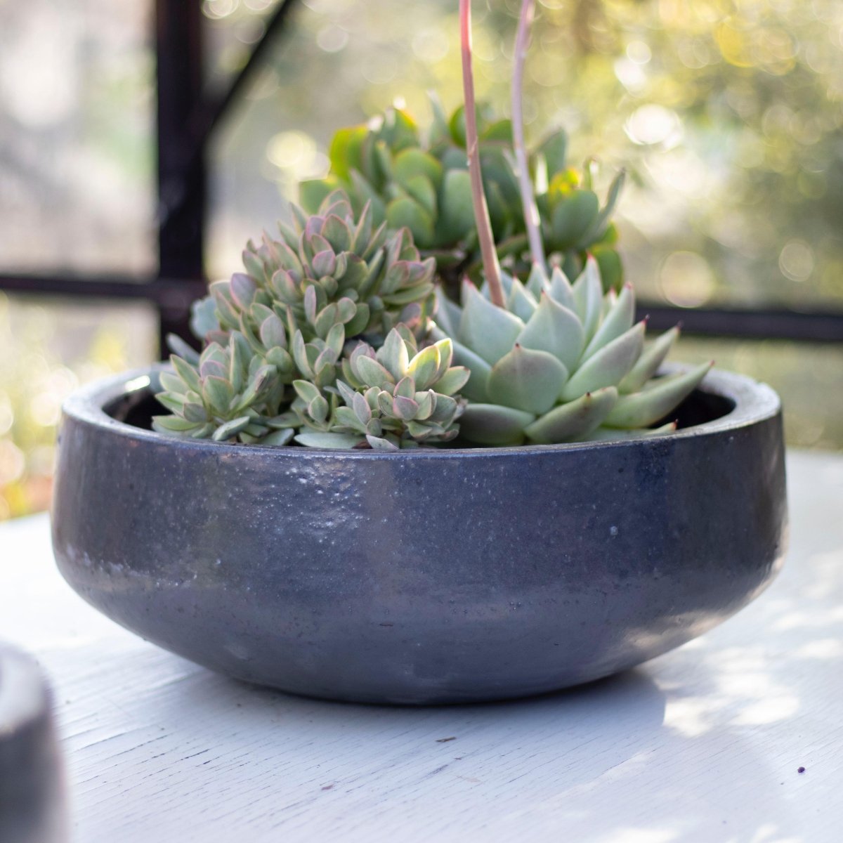 Macetero Bajo Piñol Gris Acero - tiendachagual