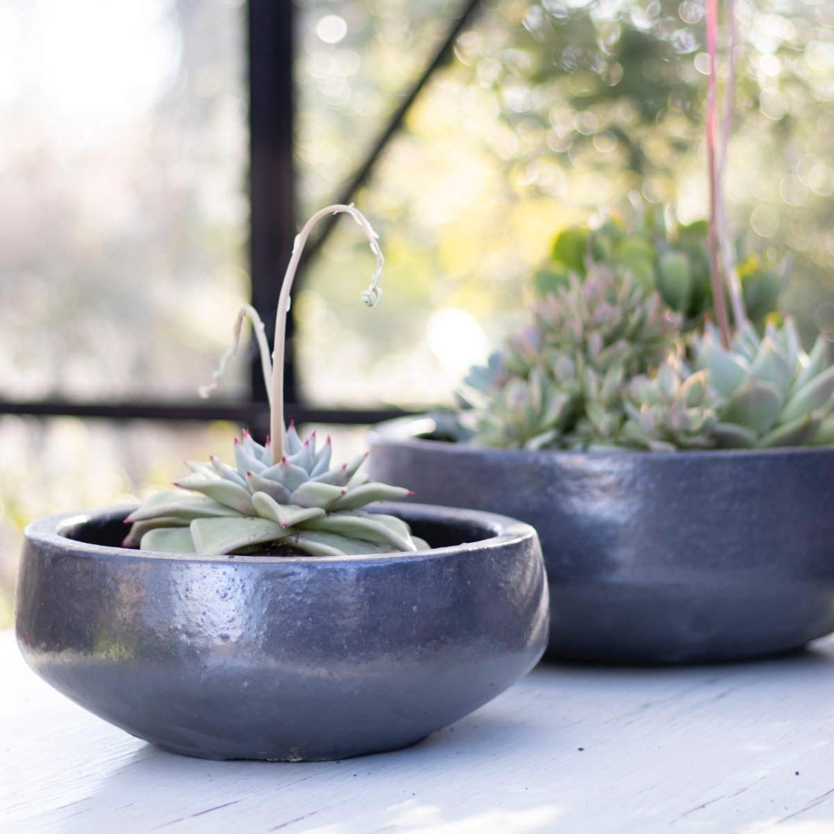 Macetero Bajo Piñol Gris Acero - tiendachagual