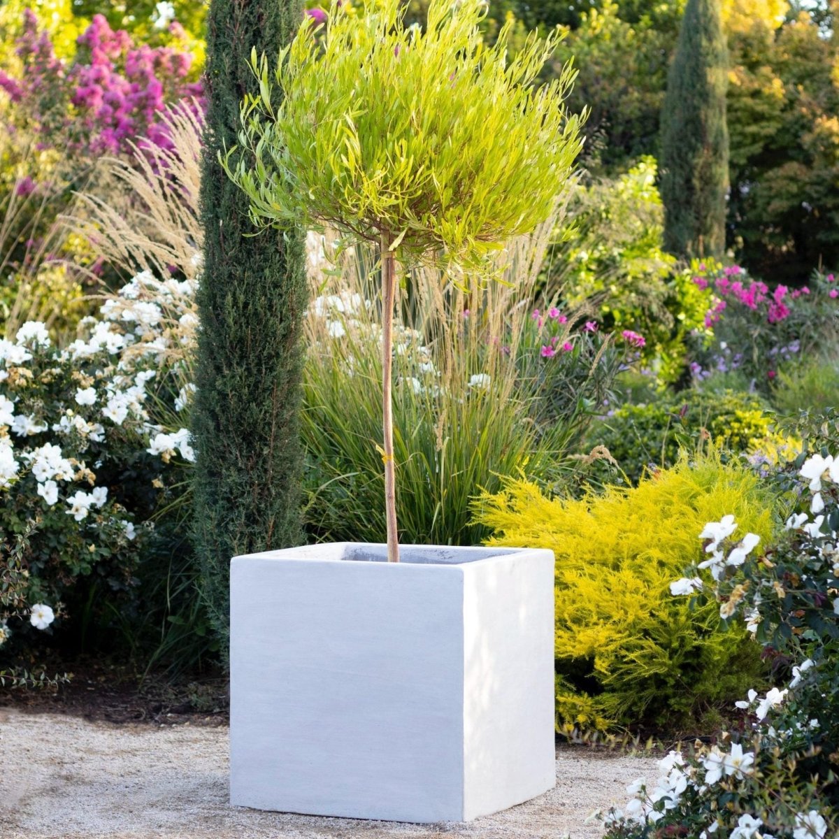 Macetero Cahuén - tiendachagual