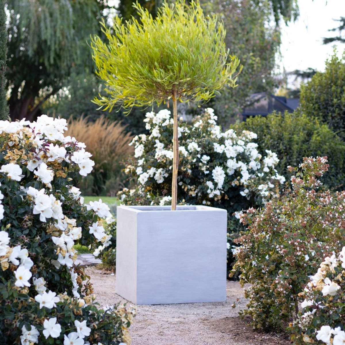 Macetero Cahuén - tiendachagual