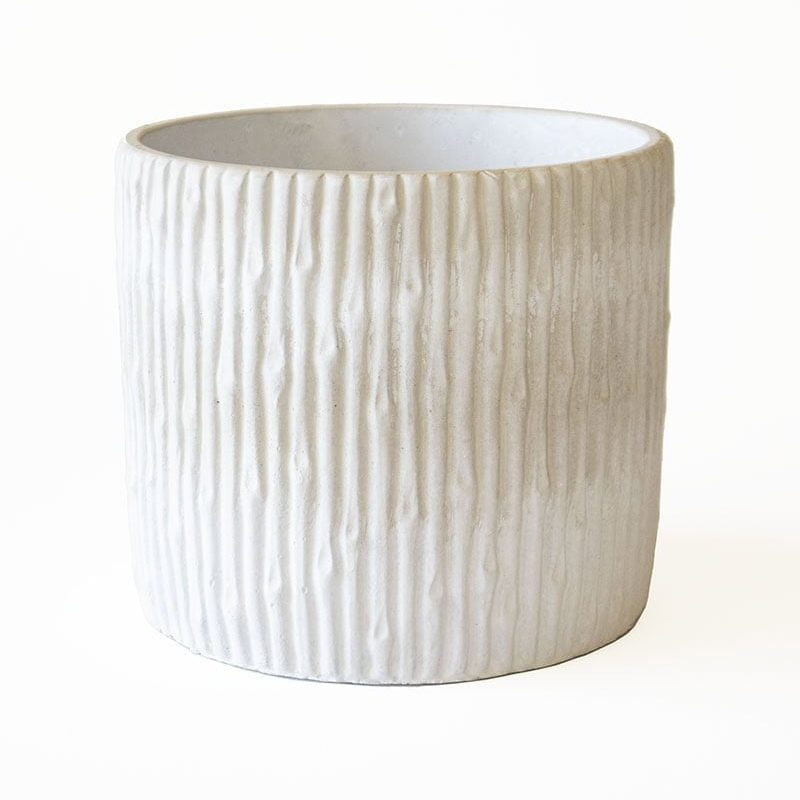 Macetero Canelo - tiendachagual