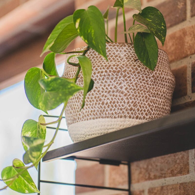 Macetero Chilco - tiendachagual