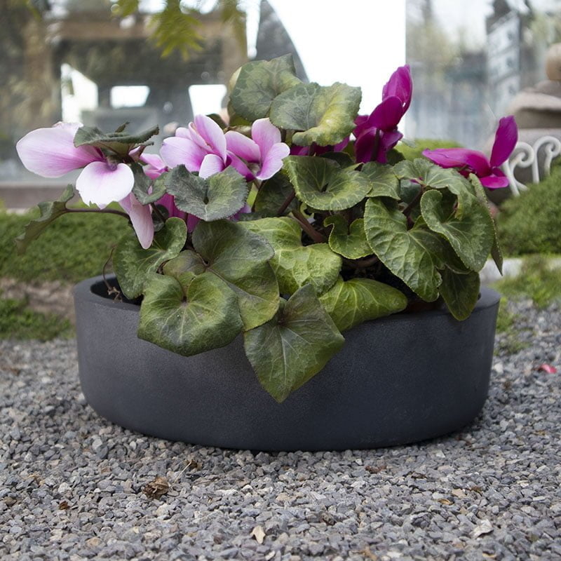 Macetero Chincol - tiendachagual