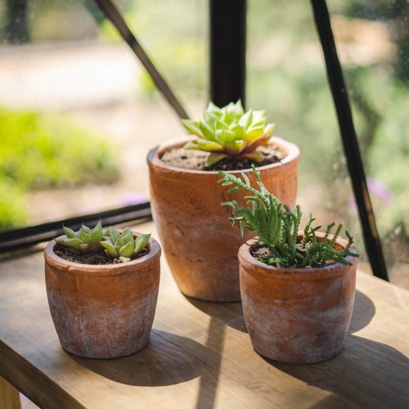 Macetero Lleuque - tiendachagual