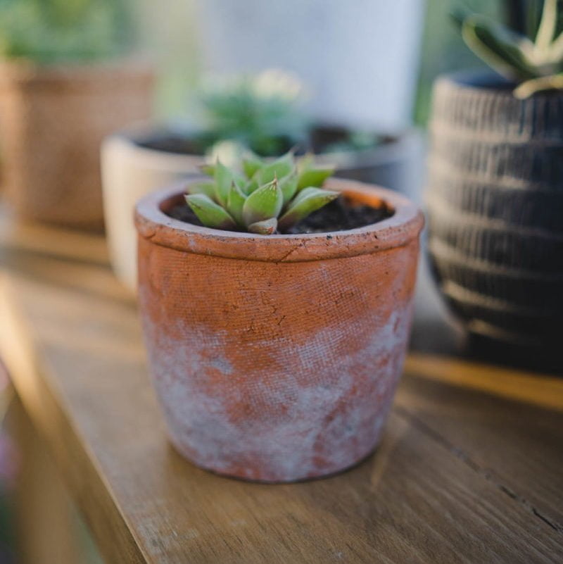 Macetero Lleuque - tiendachagual