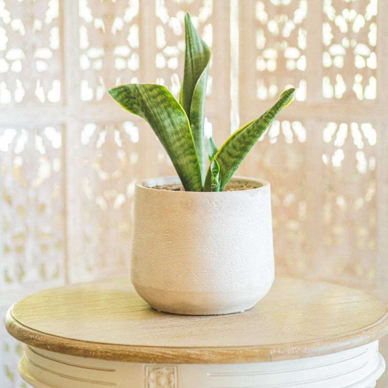 Macetero Luma - tiendachagual