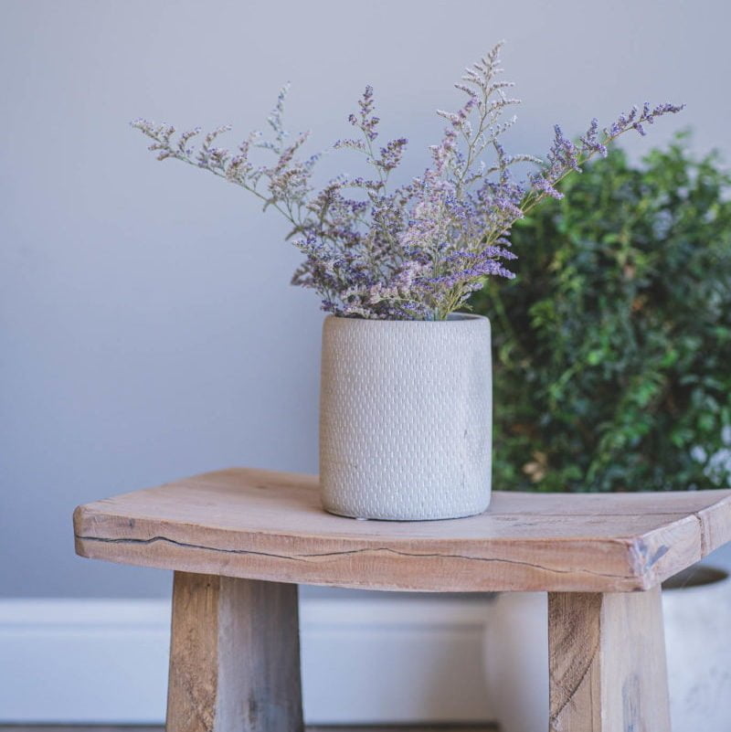 Macetero Mañio - tiendachagual