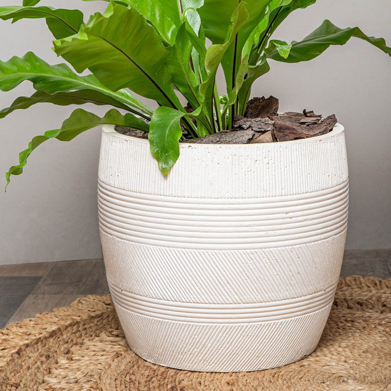 Macetero Maqui - tiendachagual