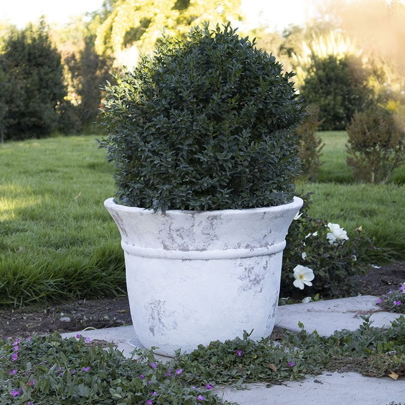 Macetero Melí - tiendachagual