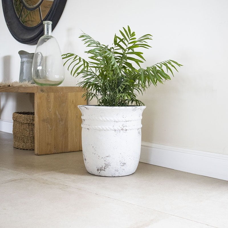 Macetero Molle - tiendachagual