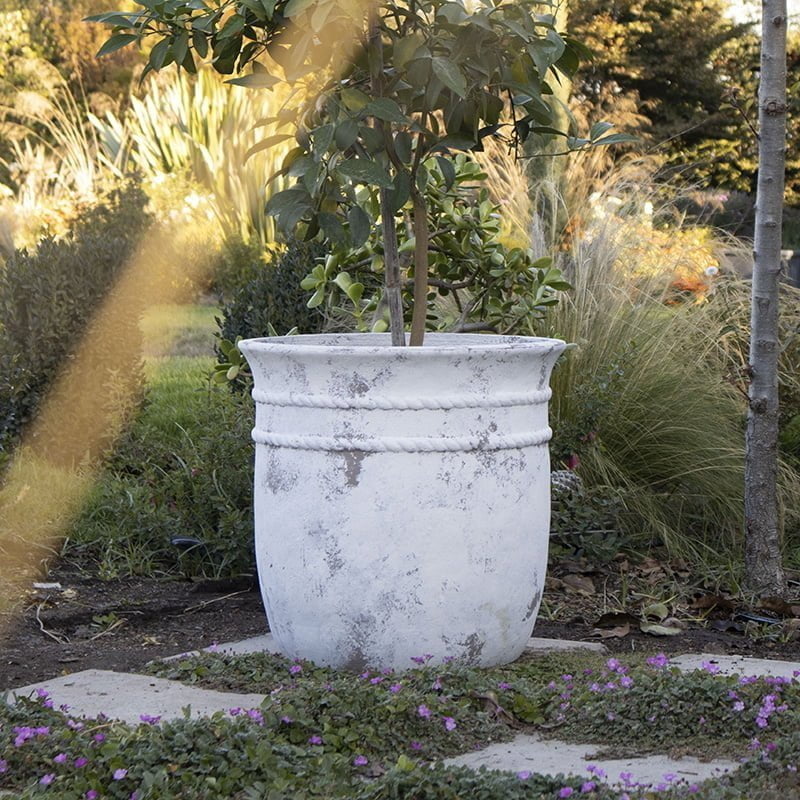 Macetero Molle - tiendachagual