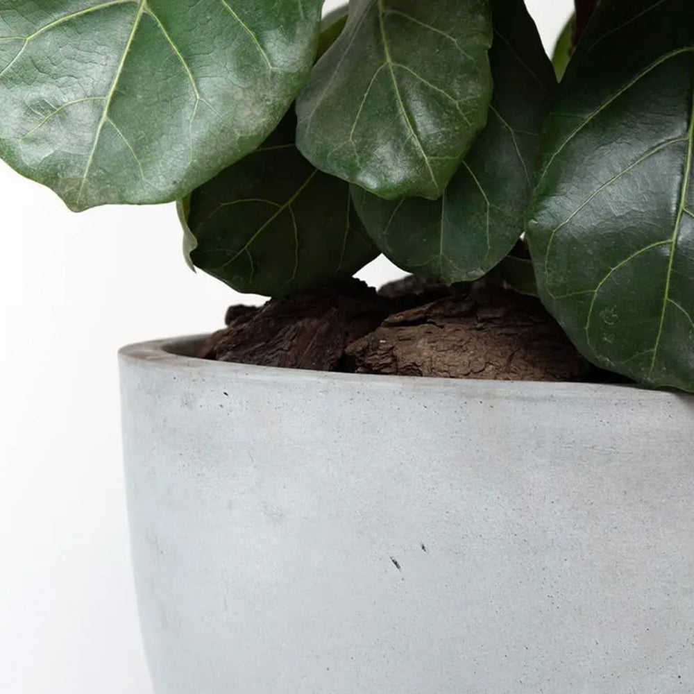 Macetero Notro gris - tiendachagual