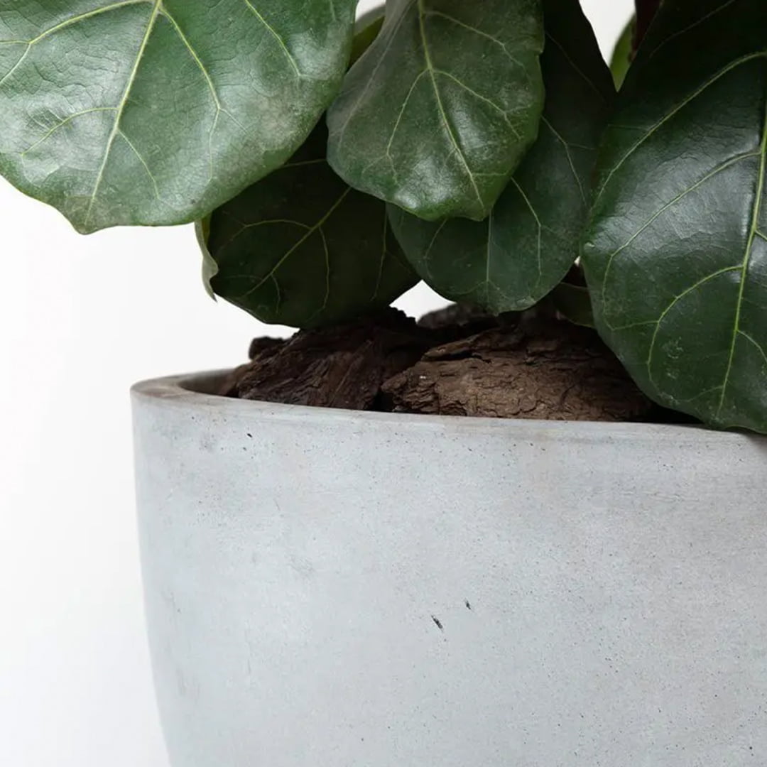 Macetero Notro gris - tiendachagual