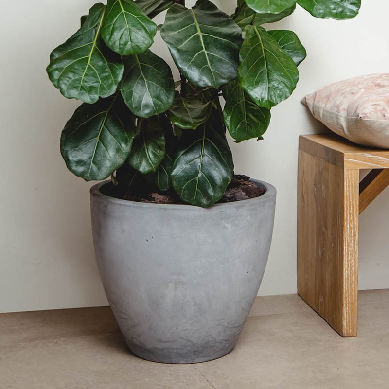 Macetero Notro gris - tiendachagual