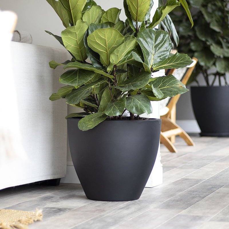 Macetero Notro negro - tiendachagual