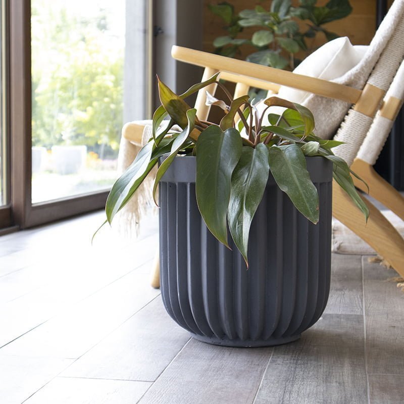 Macetero Pitra - tiendachagual