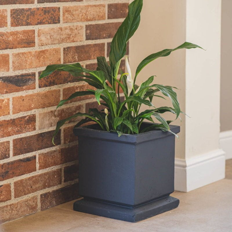 Macetero Queule - tiendachagual