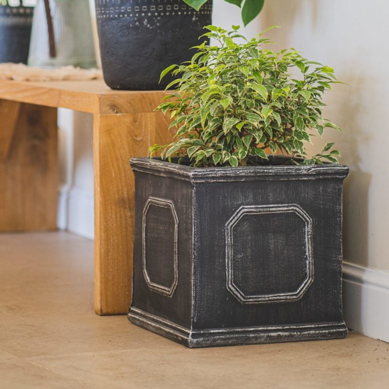 Macetero Quila - tiendachagual