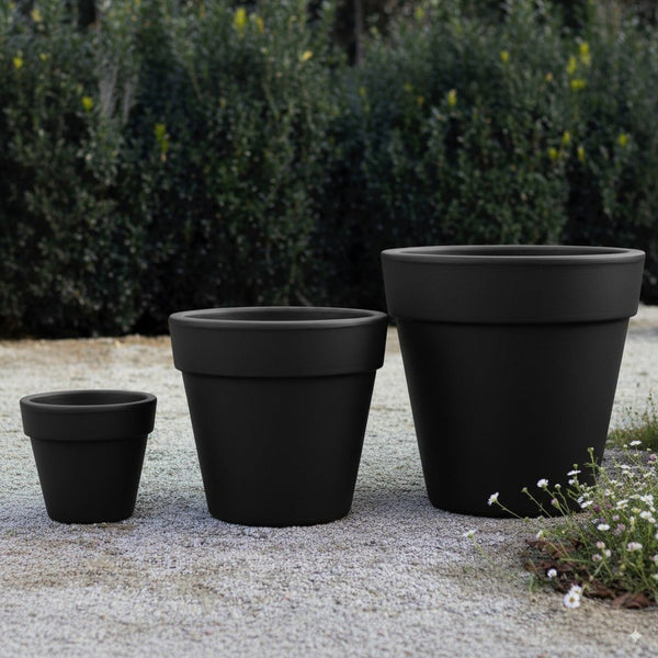 Macetero Quillay Negro con planta de hojas grandes en interior