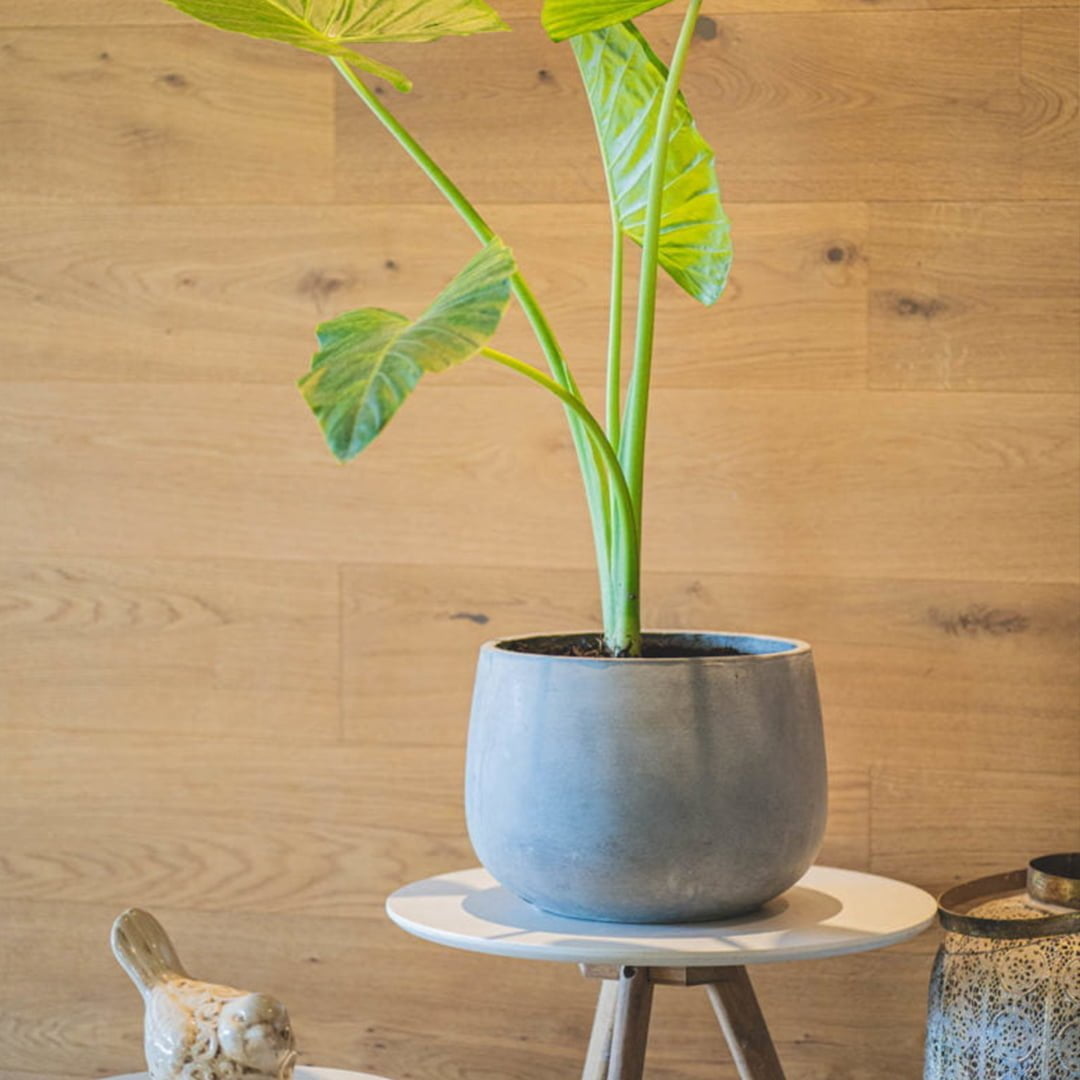 Macetero Tepa gris - tiendachagual