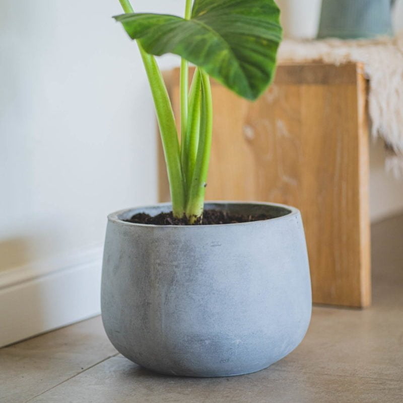 Macetero Tepa gris - tiendachagual