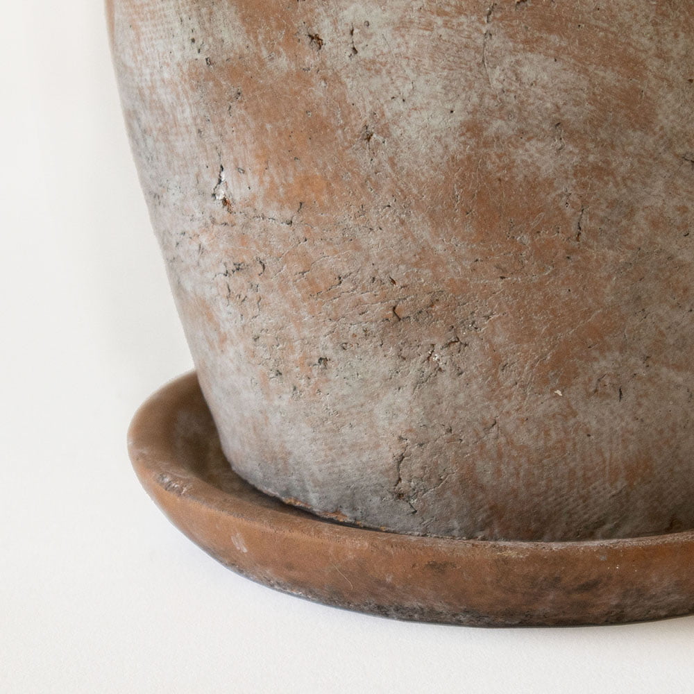 Plato cemento Terracota - tiendachagual