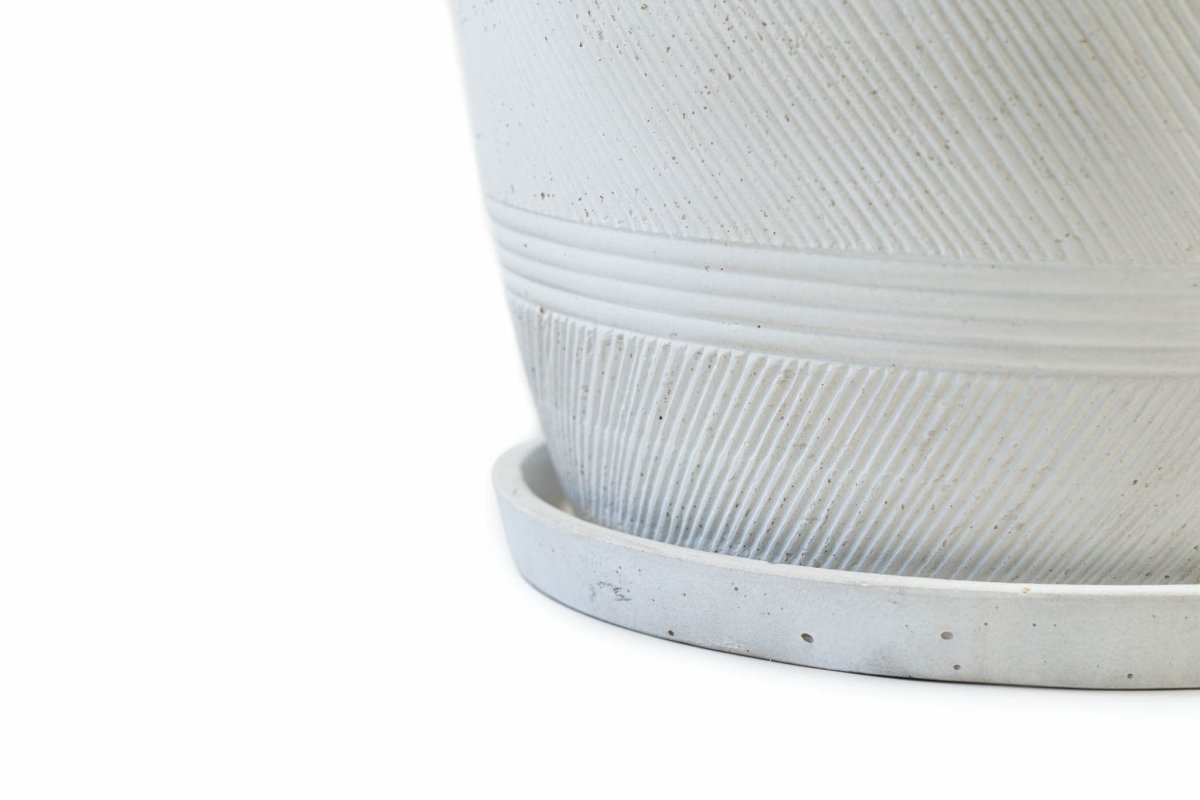 Plato Redondo Blanco - tiendachagual