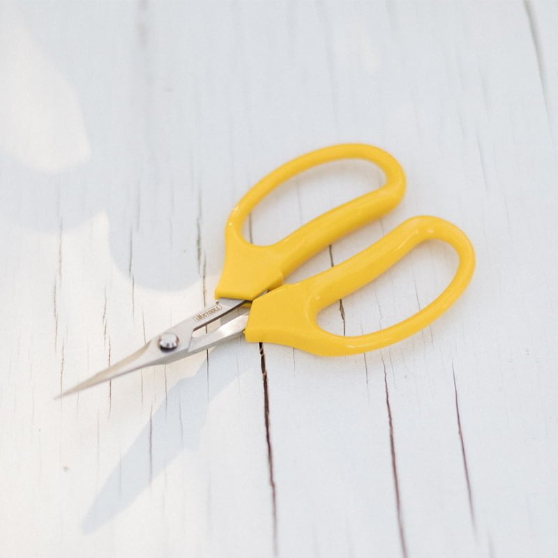 Tijera de Podar - tiendachagual