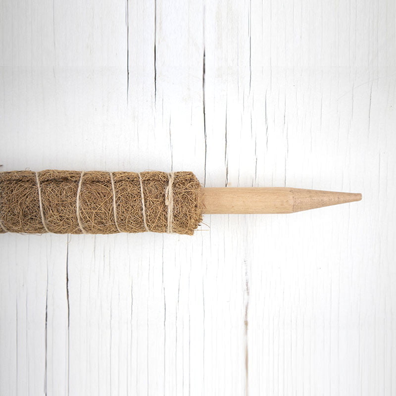 Tutor planta trepadora - tiendachagual